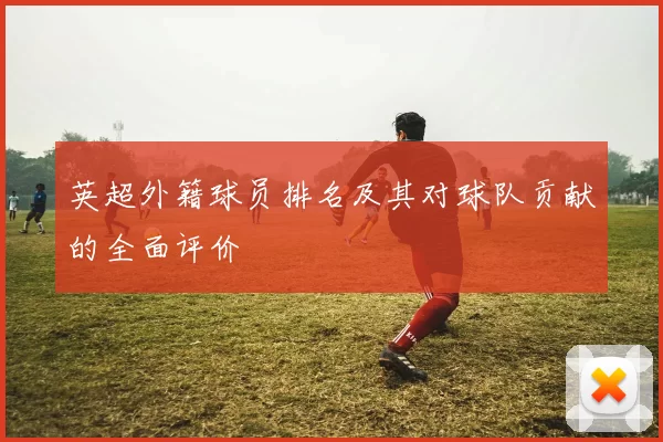 英超外籍球员排名及其对球队贡献的全面评价