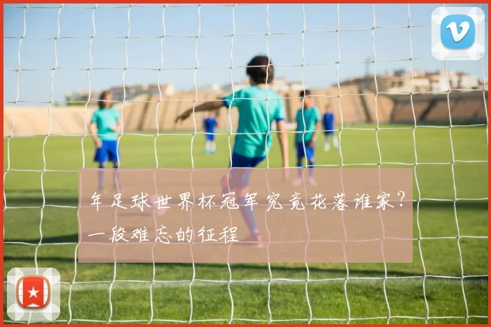 年足球世界杯冠军究竟花落谁家？一段难忘的征程