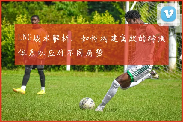 LNG战术解析：如何构建高效的转换体系以应对不同局势