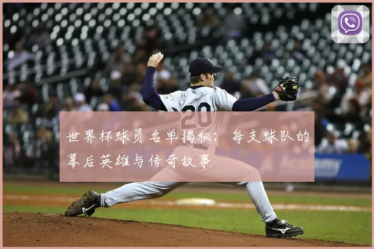 世界杯球员名单揭秘：每支球队的幕后英雄与传奇故事