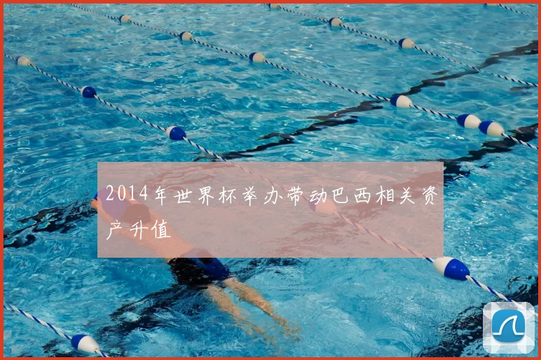 2014年世界杯举办带动巴西相关资产升值
