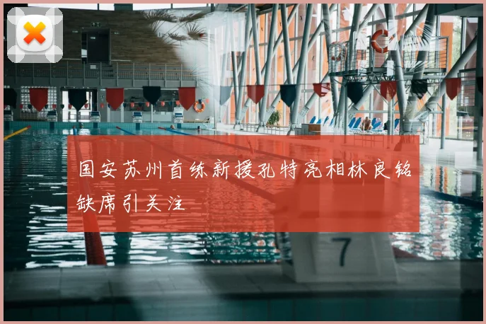 国安苏州首练新援孔特亮相林良铭缺席引关注