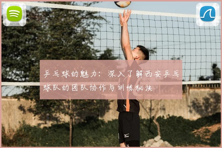 乒乓球的魅力:深入了解西安乒乓球队的团队协作与训练秘诀