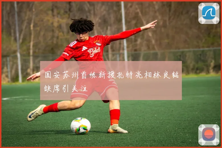 国安苏州首练新援孔特亮相林良铭缺席引关注