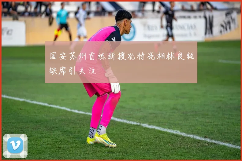 国安苏州首练新援孔特亮相林良铭缺席引关注