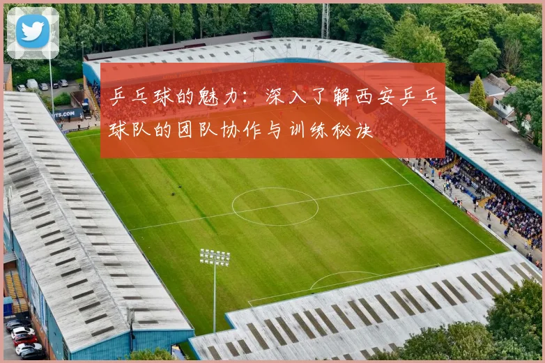 乒乓球的魅力：深入了解西安乒乓球队的团队协作与训练秘诀