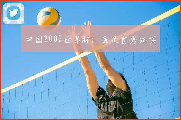 中国2002世界杯：国足首秀纪实
