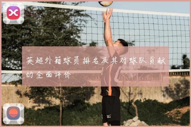 英超外籍球员排名及其对球队贡献的全面评价