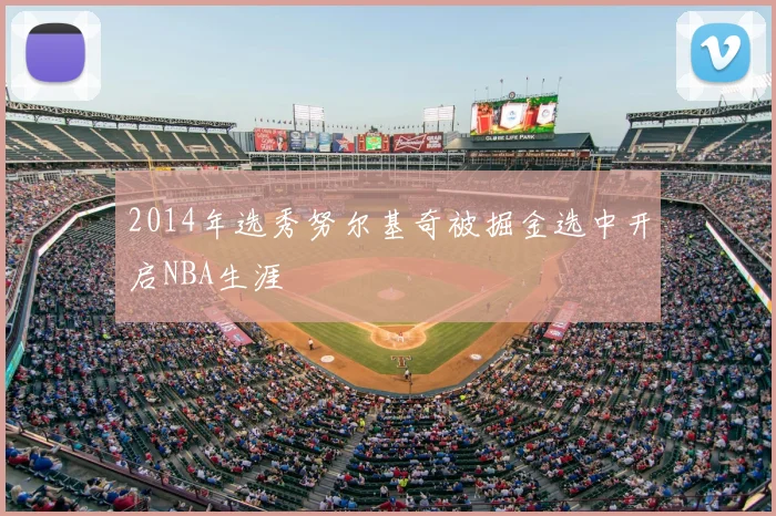 2014年选秀努尔基奇被掘金选中开启NBA生涯