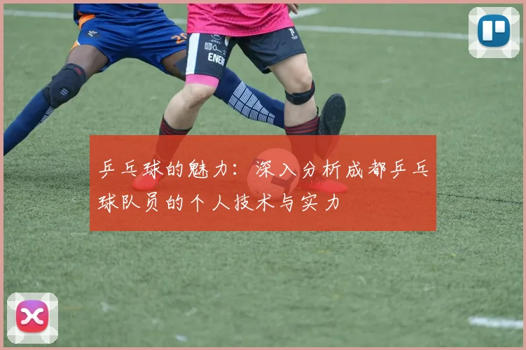 乒乓球的魅力:深入分析成都乒乓球队员的个人技术与实力